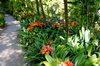 Hgarden1