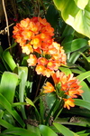 Hgarden2