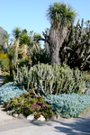 Hgarden4