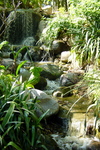 Hgarden6